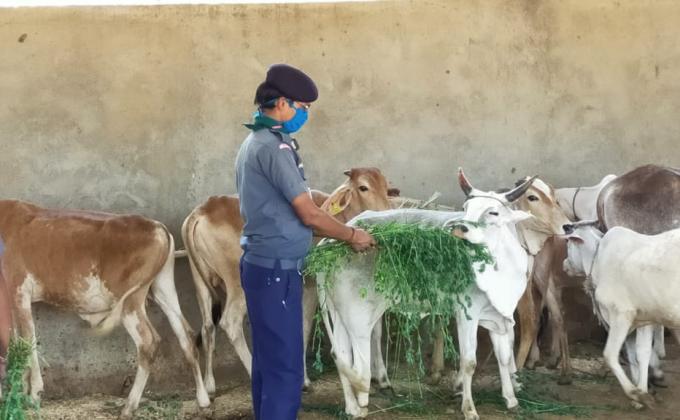 सेवा कार्य