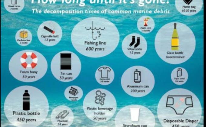 *ENVIRONMENT AND SUSTAINABILITY* Challenge1.) #How long until it is gone ?