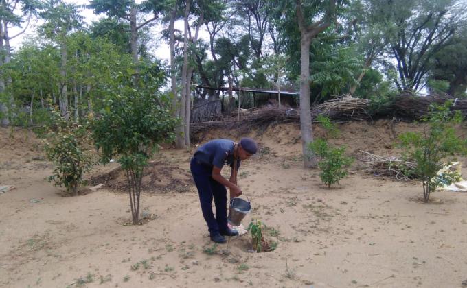 पेड़ पौधों में पानी देते हुए