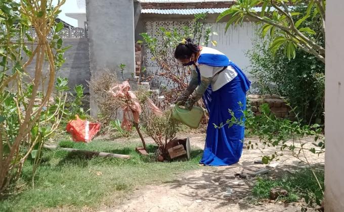 मंदिरो में पौधो को पानी पिलाते हुये स्काउट गाइड केप्टन जयलता माधव