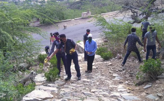  हर्ष पर्वत पर पशु पक्षियों की सेवा