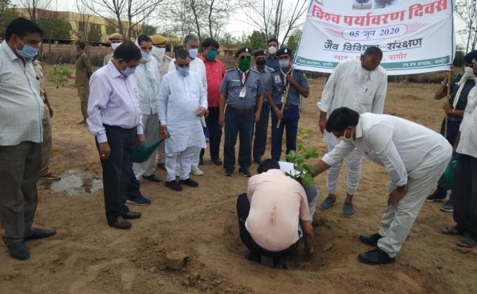 plantatiin on shahastra van nagaur