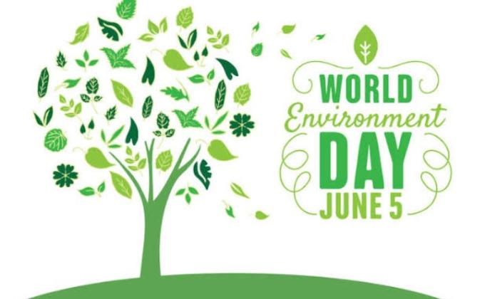 World Environment Day (#Biodiversity),5th of June 2020