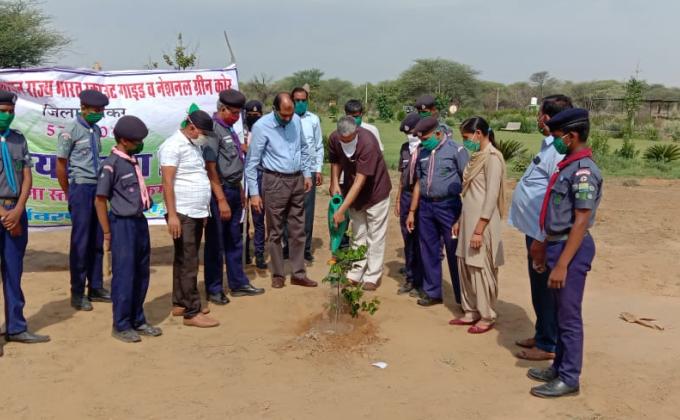 planting plants in smrati van