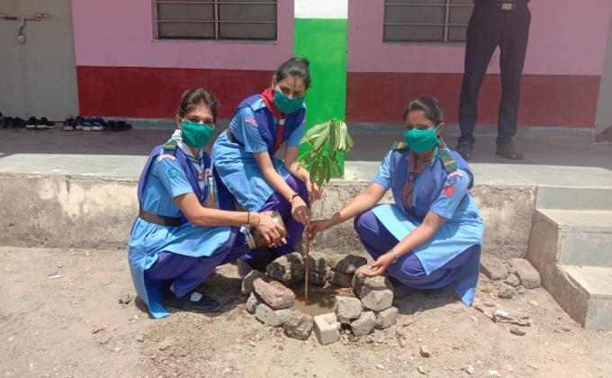 विश्व पर्यावरण दिवस
