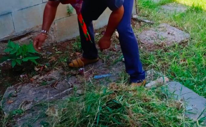  cleanliness programme 