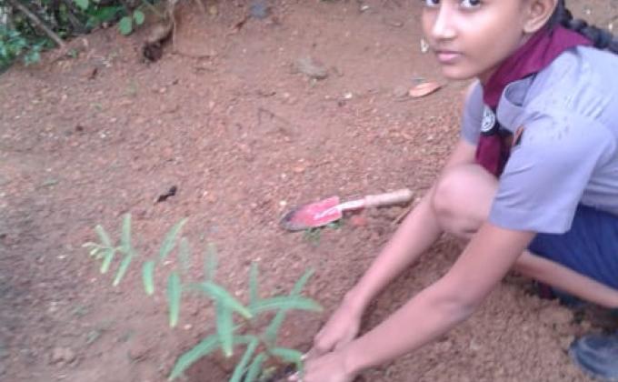 7 Days Challenge for Scouts in Avissawella, Srilanka