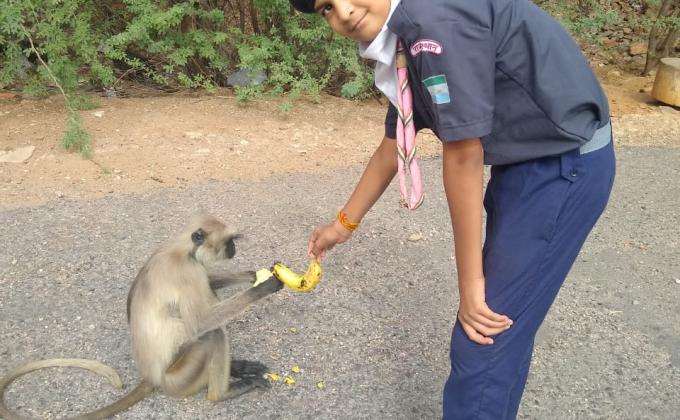 #messenger of peace#mop service of lockdown