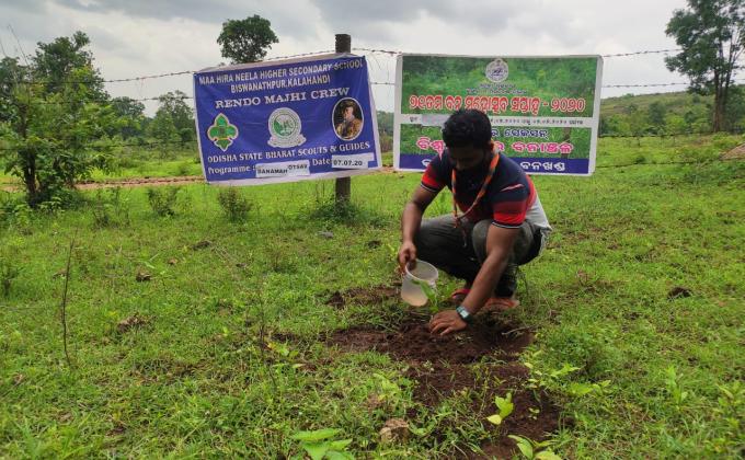 Celebrating Bana Mahotsav 