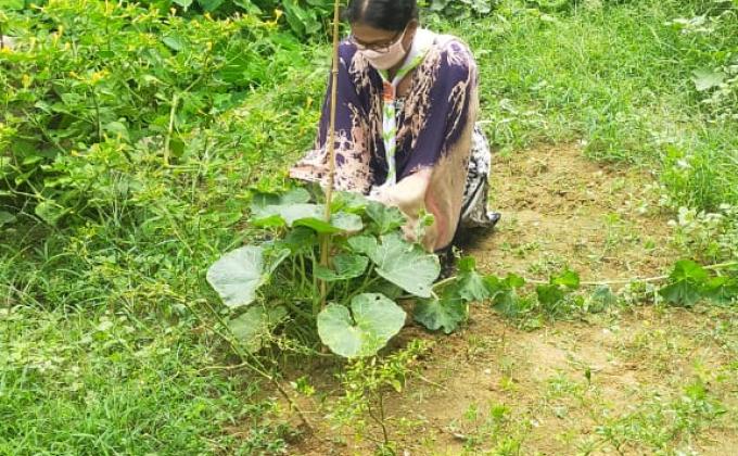 Plantation during lockdown BIUS