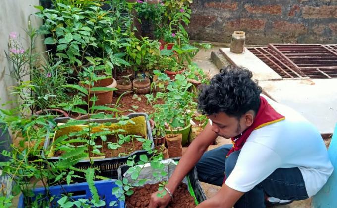 plantation and food distribution 