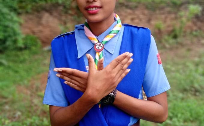 Virtual webinar on better world framework.