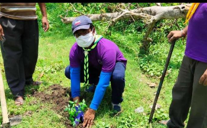 Observed Van Mahotsav