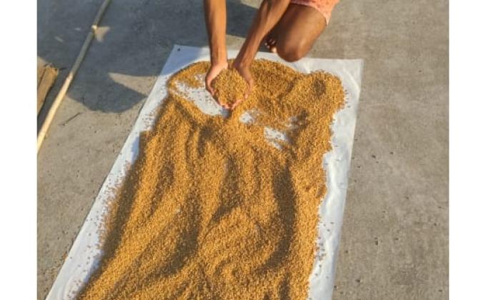 Navigating the Seas of Tomorrow