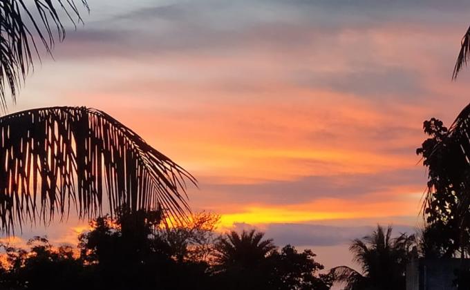 Photography about peace of nature side