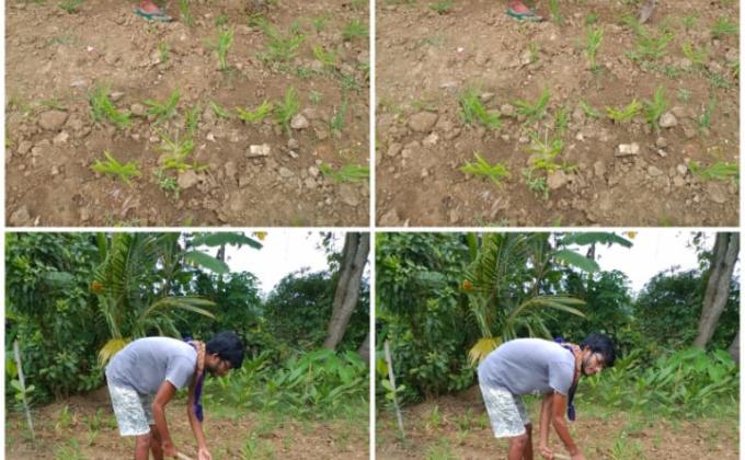 IDP 2020ACTIVITY8.12-ACTIVITY BASED ON SDGS