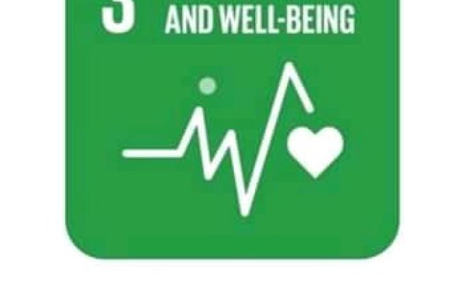 IDP 2020 ACTIVITIES BASED ON SDGS