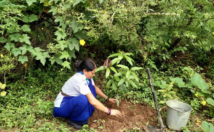 Plantation programme#2 International peace day