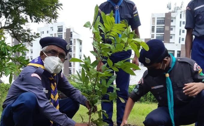 PEACE TREE PLANTATION