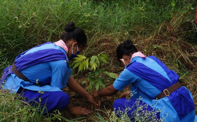 Cyclone Disaster Management Service work