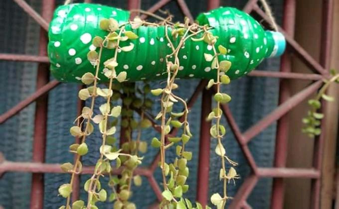 विश्व शांति दिवस 21 सितंबर 2020 के कार्यक्रम