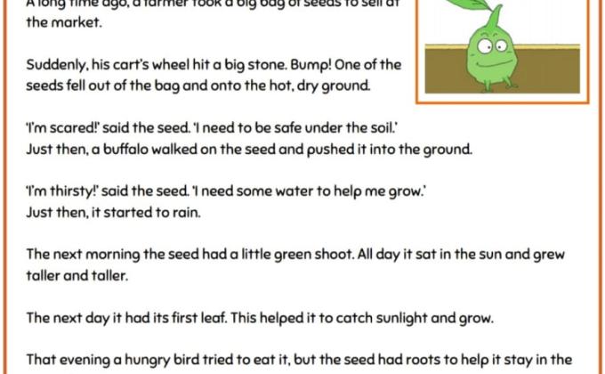 IDP(8.7)PEACE PANTRY OF SHARING/ZERO HUNGER