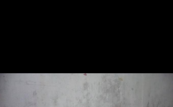 #29 covid-19 awareness programme