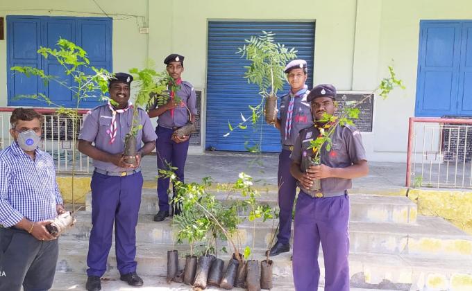 TREE PLANTING IN GANDI JAYANTHI
