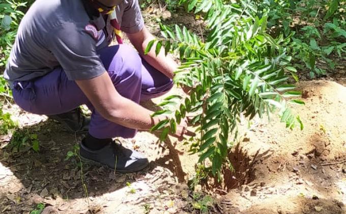 TREE PLANTING IN WORLD SCARF DAY