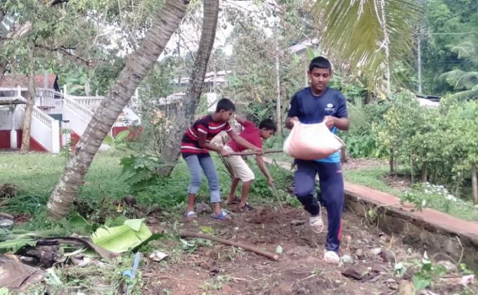 Help to make a green world