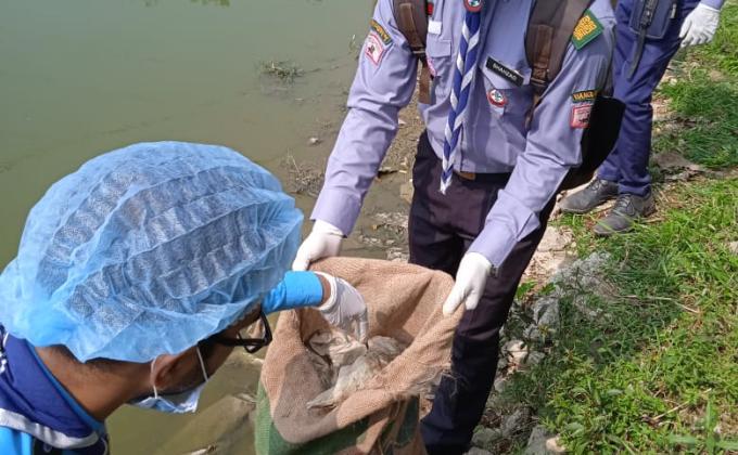 Removing waste from river banks