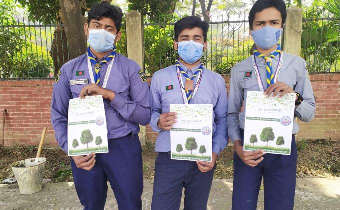 Tree Plantation