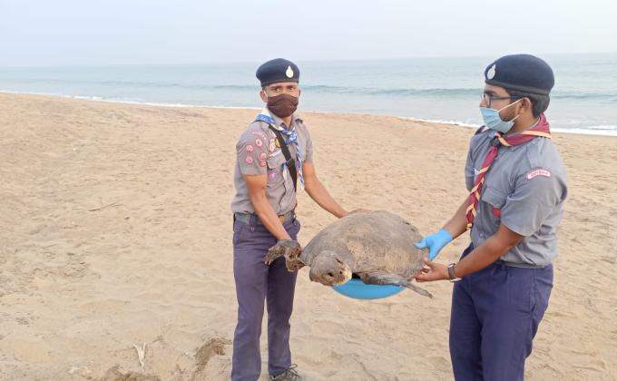 Beach clean  program 