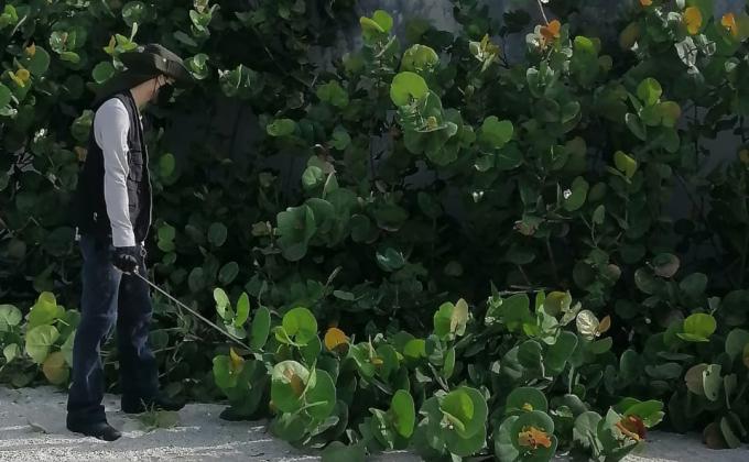 Rescate de Zona Naturales Protegidas Guardianes de la Laguna al cuidado del Medio Ambiente