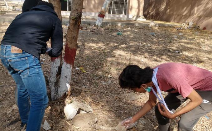 Plastic tide turners