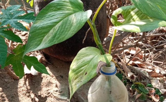 Plastics Tide Turners Program 