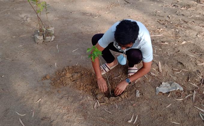 plantation for save the environment by dararat green club