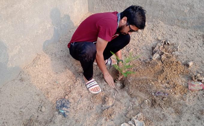 plantation for save the environment by dararat green club