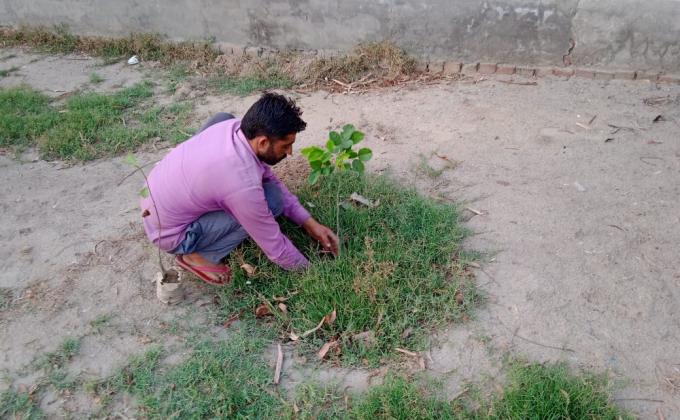 plantation for save the environment by dararat green club