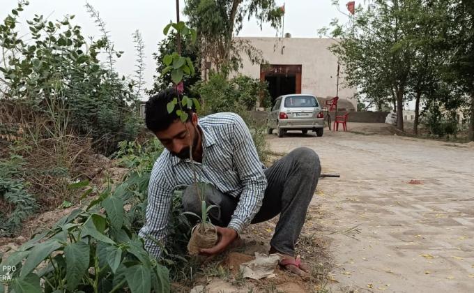 plantation for save the environment by dararat green club