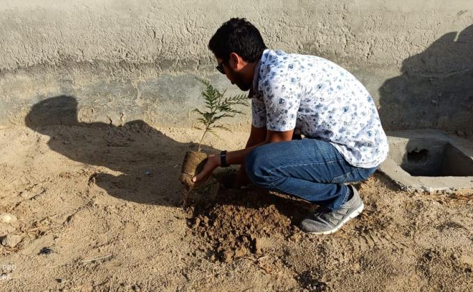 plantation for save the environment by dararat green club