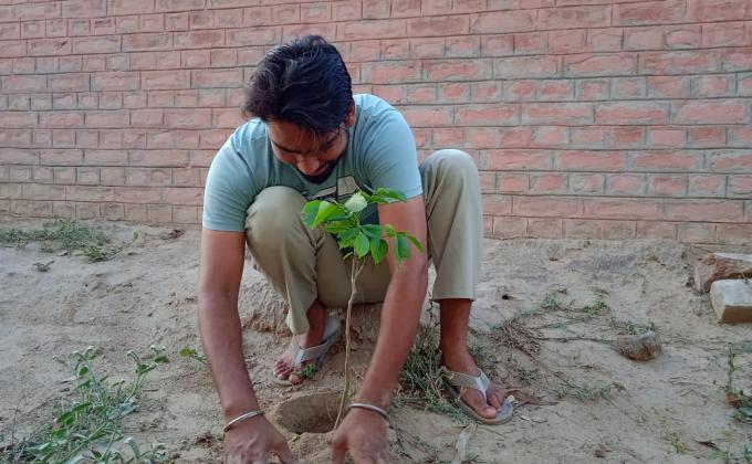 plantation for save the environment by dararat green club