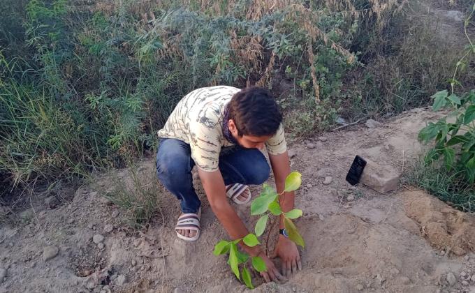 plantation for save the environment by dararat green club at India