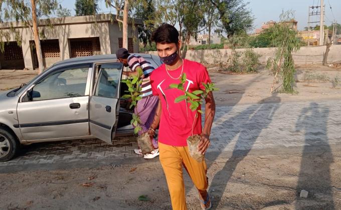 plantation for save the environment by dararat green club