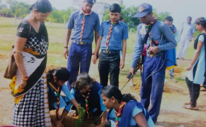 Plantation Programme