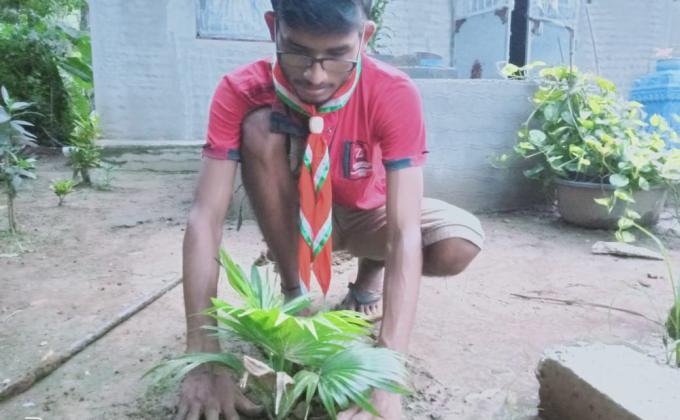 ENVIRONMENTAL DAY CELEBRATION BY PLANTING TREES