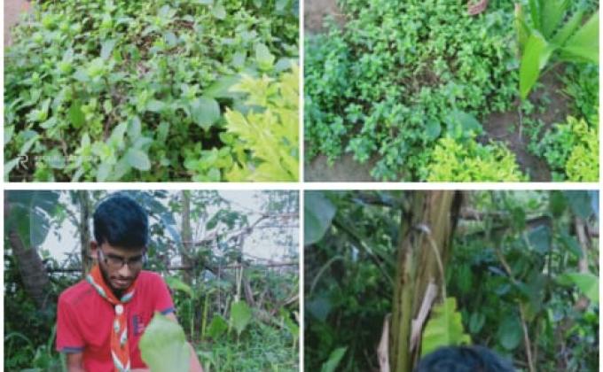 SANKALP 2.0 ACTIVITIY 5- MY LOCKDOWN GARDEN