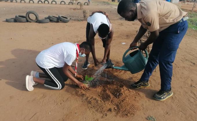 Les Scouts du Togo mettent à terre 150 plants le 1er Juin 2021