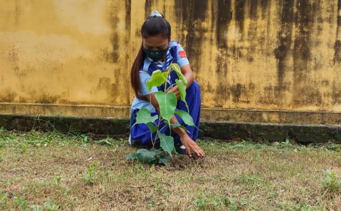 World environment day