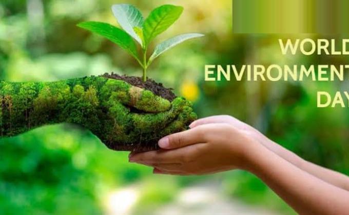 PLANTASION TO PROTECT AND SAVE THE WORLD